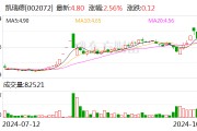 凱瑞德：公司董事長(zhǎng)、總經(jīng)理紀(jì)曉文解除留置