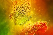體驗無限可能的戶外游戲，免費游戲的無限可能，挑戰(zhàn)極限，自由游戲——您的戶外冒險樂趣新起點