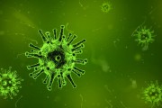 澳大利亞出現(xiàn)新冠新變種 FluQE：傳染性更高，幾周內病例或激增