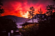 廟宇之夢，心靈的尋覓與覺醒