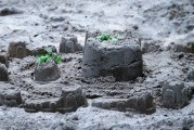 夢中的雷擊，心靈的覺醒之旅，夢中的雷擊，心靈的覺醒之旅