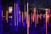 夢(mèng)中喜宴，一場(chǎng)難忘的盛宴，夢(mèng)中喜宴，難忘的盛宴之旅