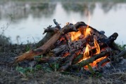 全球熱門大逃殺游戲，免費(fèi)下載與體驗(yàn)，全球熱門大逃殺游戲，免費(fèi)下載體驗(yàn)一覽