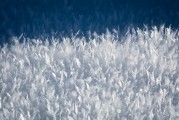 夢(mèng)中的雪花舞動(dòng)，夢(mèng)中的雪花舞動(dòng)之美