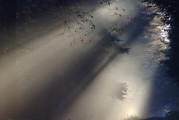 夢中情愫，解析夢中有人喜歡自己的心理奧秘，解析夢中有人喜歡自己的心理奧秘，夢中情愫的探索
