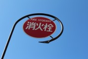 無廣告、無內(nèi)購、無充值的跑酷游戲大放送！為愛發(fā)電
