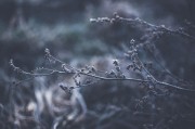 體驗(yàn)自由無(wú)拘無(wú)束的游戲世界——免費(fèi)主機(jī)游戲的魅力解析，如何領(lǐng)略自由無(wú)拘無(wú)束的游戲世界，從免費(fèi)主機(jī)游戲的特性解析