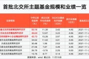 北交所主題基金 最高大賺50%！