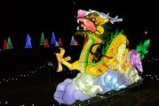 保衛(wèi)蘿卜游戲中，免費(fèi)并不是一種誘惑，保衛(wèi)蘿卜，游戲中的付費(fèi)意識(shí)與策略分析