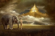 夢(mèng)魘中的猛虎追擊——我的夢(mèng)境探索，夢(mèng)魘中的猛虎追擊，夢(mèng)境的神秘探索