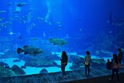 日照市是中國(guó)山東省的一個(gè)海濱城市，擁有豐富的旅游資源和文化底蘊(yùn)。隨著互聯(lián)網(wǎng)技術(shù)的發(fā)展，日照的旅游業(yè)也在不斷壯大。日照網(wǎng)站優(yōu)化的重要性不言而喻。，日照，中國(guó)山東省海濱城市的旅游資源與文化魅力
