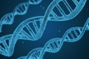 搭建一個功能完善的wap網(wǎng)站需要經(jīng)過許多步驟和復(fù)雜的技術(shù)。本文將詳細(xì)介紹如何搭建一個基本的wap網(wǎng)站，并通過實例演示其開發(fā)過程。，基礎(chǔ)wap網(wǎng)站搭建步驟及實例演示