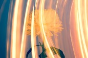 CCG（Collective Content Game），一個(gè)讓玩家盡情探索的免費(fèi)游戲世界，自由探索，無(wú)拘無(wú)束！體驗(yàn)CCG的魅力，免費(fèi)游戲世界之旅