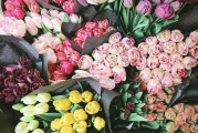 注冊了有錢花如何注銷，詳細(xì)指南助你輕松解綁，有錢花賬戶注銷全攻略，輕松解綁，告別繁瑣步驟