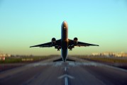 雛鳥(niǎo)之夢(mèng)，一場(chǎng)深邃的心靈之旅