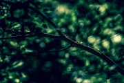 夢(mèng)到鼻子壞了，一次心靈的覺(jué)醒
