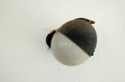 夢(mèng)境中的蛆——探索內(nèi)心深處的象征意義，夢(mèng)境中的蛆，探索內(nèi)心深處的象征意義