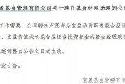 罕見(jiàn)！寶盈基金詭異的基金經(jīng)理變動(dòng)！