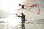 夢(mèng)到魚(yú)，探尋其深層含義，夢(mèng)到魚(yú)，探尋其深層心理含義