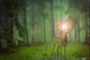 甲蟲游戲的無限可能——探索免費游戲的世界，無盡的游戲宇宙，探索免費游戲世界的新機遇