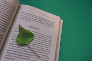 湖南校園注冊攻略，輕松開啟你的大學(xué)生活，湖南校園注冊全攻略，輕松邁入大學(xué)生活新篇章