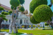 夢中的李子樹，一段心靈的旅程，夢中的李子樹，心靈的旅程之旅