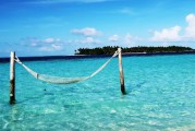 夢(mèng)中的臭魚(yú)，一場(chǎng)不愉快的夢(mèng)境之旅