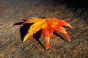 揭秘日本網(wǎng)站流量查詢網(wǎng)站，助力企業(yè)精準(zhǔn)洞察市場(chǎng)動(dòng)態(tài)，深度解析，日本網(wǎng)站流量查詢工具，助力企業(yè)洞悉市場(chǎng)脈搏，深度解析，日本網(wǎng)站流量查詢工具，助企業(yè)精準(zhǔn)把握市場(chǎng)脈搏