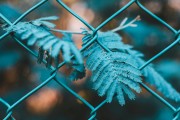 SEO是什么？，簡要解析，理解SEO的基本概念和術(shù)語