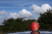 一、引言，探討人工智能在醫(yī)療領(lǐng)域的應(yīng)用，當(dāng)前現(xiàn)狀與未來(lái)展望