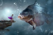 夢中捉魚，一場與魚的奇妙邂逅，夢中捉魚，一場與魚的奇妙邂逅