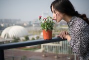 夢中邂逅，女孩的神秘世界，夢中邂逅，女孩的神秘世界