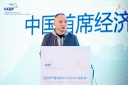 中國首席經(jīng)濟學(xué)家論壇劉煜輝：2025年A股將告別“投票器”，走向“稱重機”