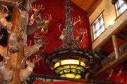 游戲盛宴，盤點(diǎn)市面上最熱門的免費(fèi)網(wǎng)游游戲大全，年度爆款免費(fèi)網(wǎng)游盤點(diǎn)，你最愛的是哪一款？