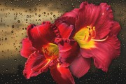 妃容天下游戲全線上免費！你還在等什么？這款以歷史背景和精美畫面為題材的手機游戲，即將在全線上全面開啟。，妃容天下手游預約開啟