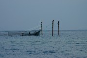 夢中的魚影，一次自我探索的殺魚夢，夢中之魚影，一次自我探索的殺魚夢境