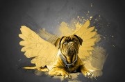 夢(mèng)到路上撿錢，財(cái)富的預(yù)兆還是虛幻的夢(mèng)？