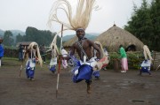 夢(mèng)中的芒果之旅，夢(mèng)游芒果之旅