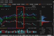 祥源文旅非經營性資金占用雖已歸還，但仍被出具警示函！