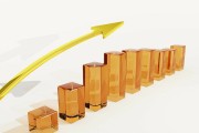 期貨保證金的調(diào)整依據(jù)是什么？這種依據(jù)對市場風(fēng)險(xiǎn)有何作用？