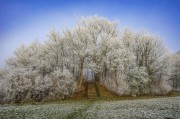 夢(mèng)中之景，他人安睡之謎，夢(mèng)中之景，探索他人安睡之謎
