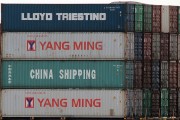 流量費(fèi)網(wǎng)站的崛起與影響，流量費(fèi)網(wǎng)站的發(fā)展與趨勢(shì)，對(duì)消費(fèi)者和運(yùn)營(yíng)商的影響
