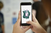 探索網(wǎng)站郵箱的全新維度，使用電子郵件捕獲插件，全新維度，探索郵件電子郵件捕獲插件