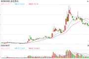操縱股票！金運(yùn)激光實(shí)控人被判4年