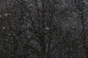 夢中雪舞，心靈的洗禮，夢中雪舞，心靈的洗禮