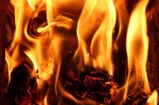 行尸走肉游戲免費(fèi)下載，讓你在末日中找尋生存之道，高清免費(fèi)的行尸走肉游戲大放送，末世求生必備神器