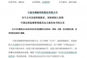因涉嫌信息披露違法違規(guī)，先鋒新材及總經(jīng)理盧先鋒被立案