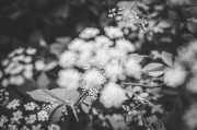 夢(mèng)中的告別，一次與逝者的邂逅，夢(mèng)中的告別，與逝者的邂逅