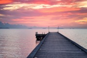 夢中的驚險(xiǎn)之旅，一場被鱷魚追逐的噩夢，夢中的驚險(xiǎn)之旅，被鱷魚追逐的噩夢