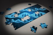 插件拓展網(wǎng)站是一個越來越熱門的主題，因?yàn)樗軒椭_發(fā)者更有效地將網(wǎng)站擴(kuò)展到更多的設(shè)備和平臺。這篇文章將詳細(xì)介紹如何使用插件來拓展網(wǎng)站，并分享一些成功的案例。，從插件拓展網(wǎng)站，實(shí)用技巧與成功案例解析